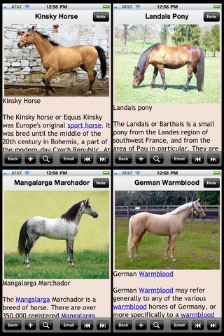 Horse & Pony Encyclopedia screenshot 3