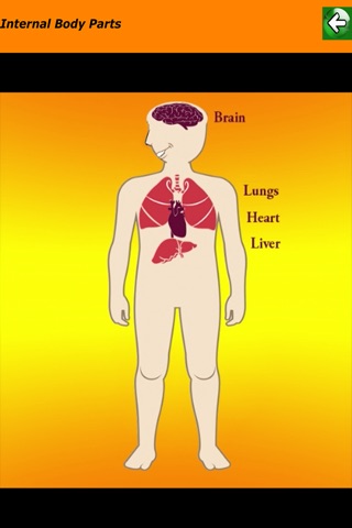 Body Parts Skeletal & Internal screenshot 2