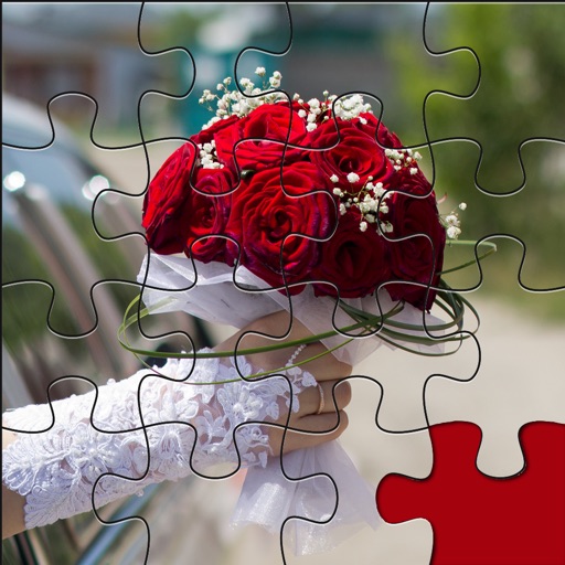 Jigsaw Colorful Weddings Puzzles- Celebration of Love And Affection icon