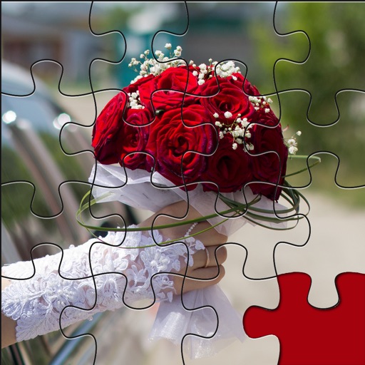 Jigsaw Colorful Weddings Puzzles- Celebration of Love And Affection