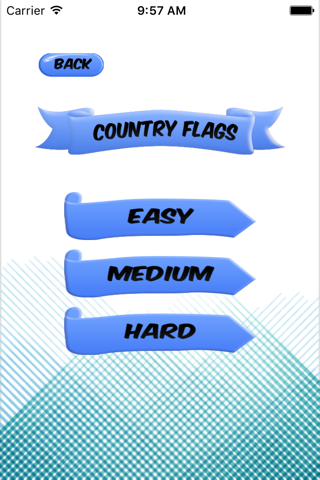 Flag Theme Puzzle Game & Spell Checker screenshot 3