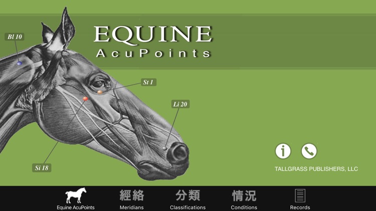 Equine AcuPoints