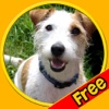 marvelous dogs for kids - free