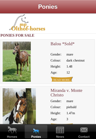 MP Olthof-Horses screenshot 3