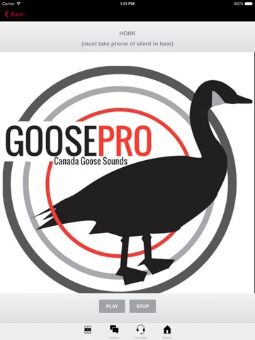 Goose Hunting Calls-Goose Sounds Goose Call App screenshot 2