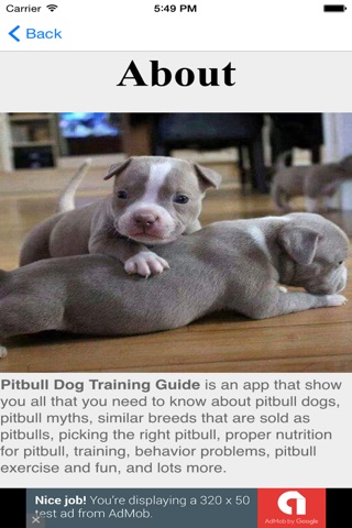 Pitbull Dog Training Guide screenshot 2