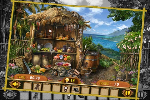 Forest Mysteries Hidden Object screenshot 3