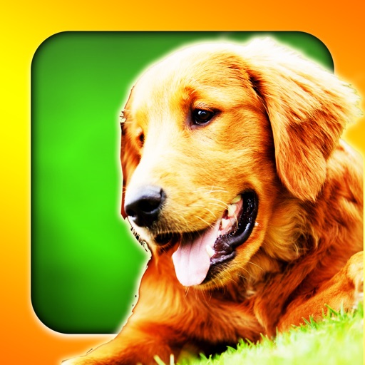 Box of Dog Noises - Funny Prank! iOS App