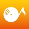 SwiRadio - Radio Player & Analyzer to Visualize Your Music Stations