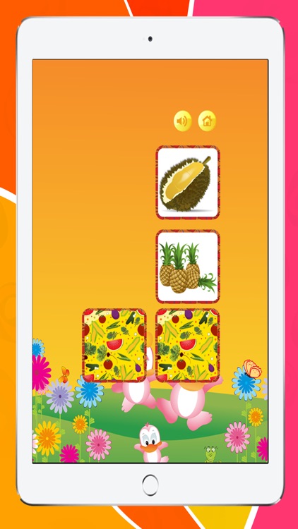 Fruits World Matching Picture Games for Kids