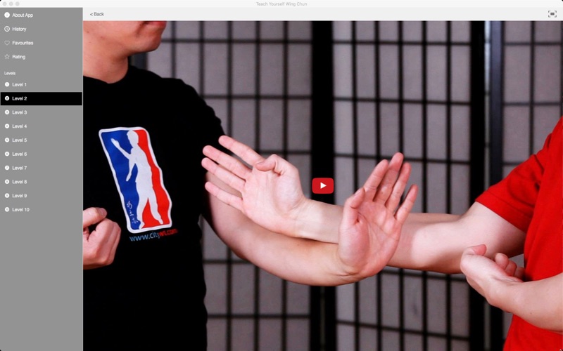 Teach Yourself Wing Chun thumbnail 3