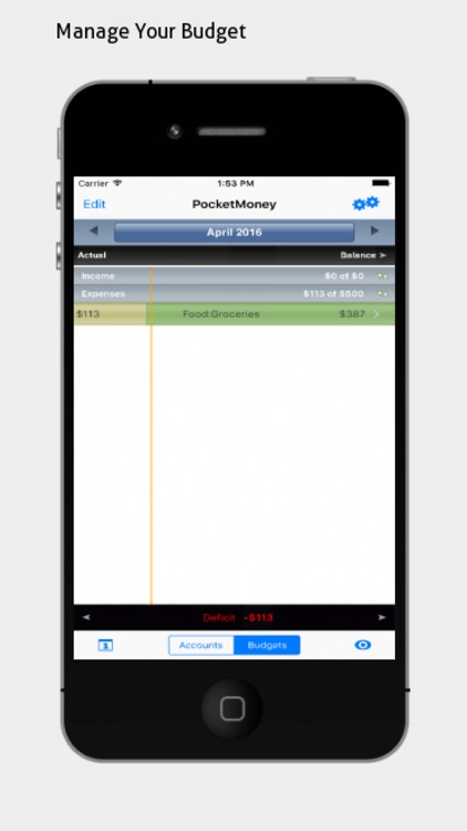 PocketMoney LITE - Checkbook screenshot-4