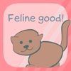 Feline good - the positive affirmations cat
