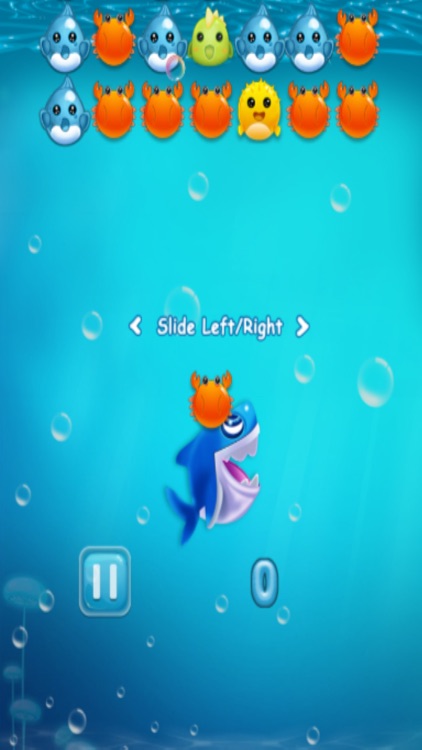 Shark Ball Dash screenshot-3