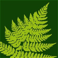 Central Coast Biodiversity