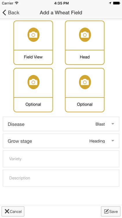 Pic-a-Wheat Field screenshot-4