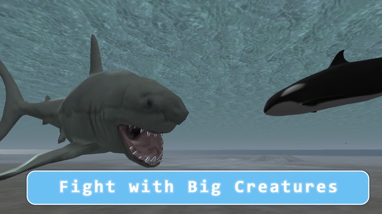 Orca Killer Whale Survival Simulator 3D Full - Play as orca, big ocean predator!