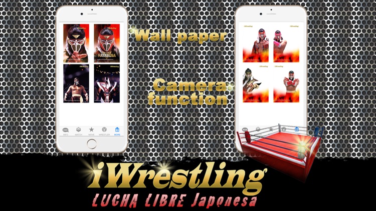 iWrestling ver HAYABUSA screenshot-4