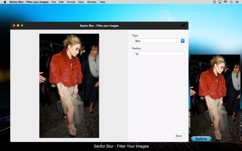 Sector Blur - Filter your images thumbnail 2