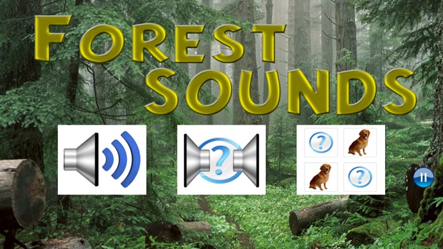 Forest Sounds(圖1)-速報App