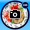 My Diet Pro will help you lose weight quickly and easily
