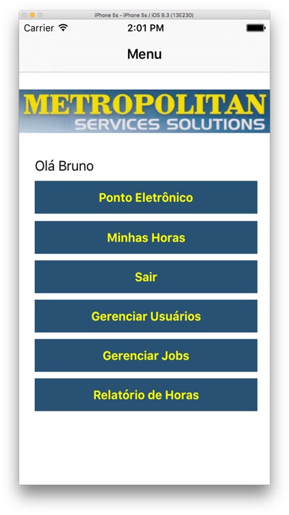 Metropolitan Service Solutions