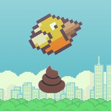 Activities of Dump On Trump Bird