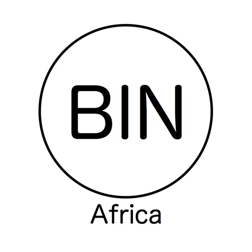 Базе bin. Файл бин. Data. Формат bin. Биннинг пикселей.