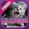 Cat Puzzle - Great Cats, Kittens Pictures Puzzles