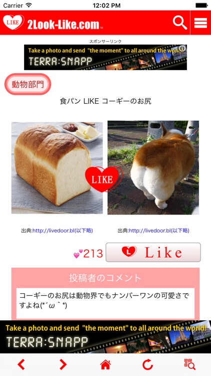 2Look-Like.com