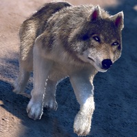 無料 レース シミュレーション ゲーム 狼 攻撃 動物 ハンター