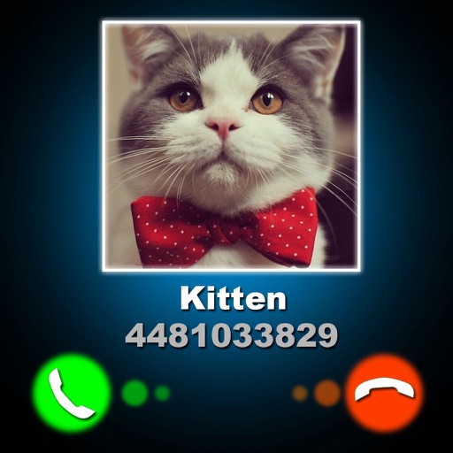 Fake Call Kitten Joke iOS App