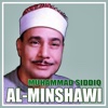 Muhammad Siddiq al-Minshawi