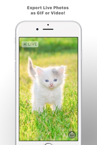 Скриншот из Camera for Live Photos.