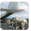 Wild Animal Cargo Plane Transport 3D