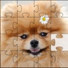 Dogs Puzzle For Kids
