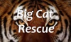 Big Cat Rescue for TV