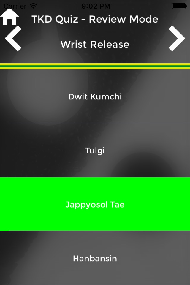 TKD Quiz - TAGB TaeKwonDo Grading Questions screenshot 4
