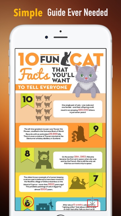 Funny Facts about Animals: Be Surprised and Smile