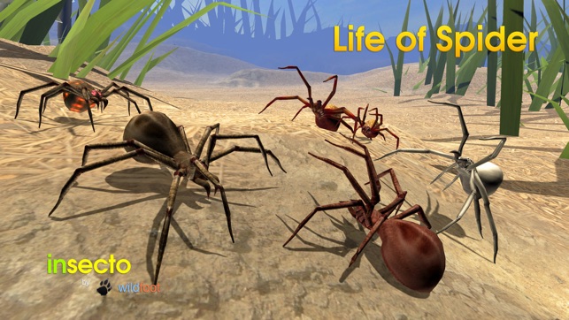 Life Of Spider(圖3)-速報App