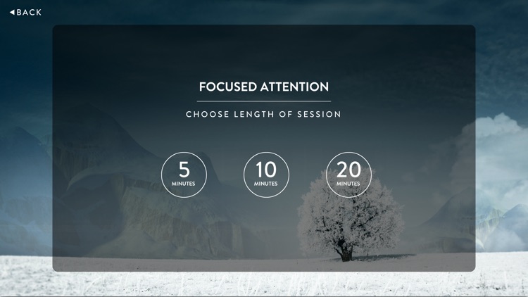 Mindfulness Meditation: Brain-based