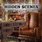 Hidden Scenes is a game similar to a jigsaw puzzle where you swap and flip the pieces to reveal the hidden scene