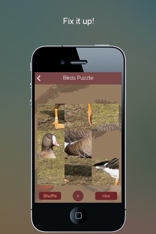 Non Perching Birds PRO: SMART guide to Non Passerines with Games and Puzzles screenshot 4