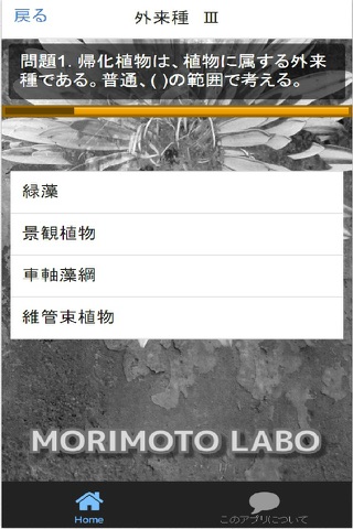 クイズ　外来種 screenshot 4