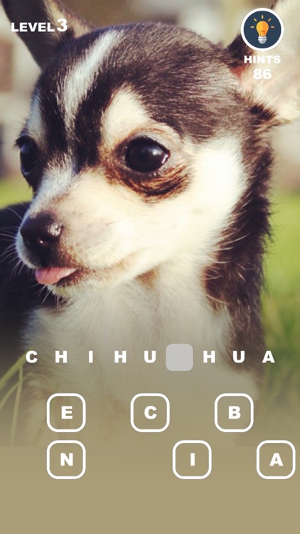 Dog Genius – photo trivia with puppies in makeup
