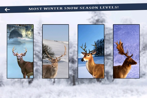 Deer Hunter Winter Snow challenge Shooter 2016 screenshot 2