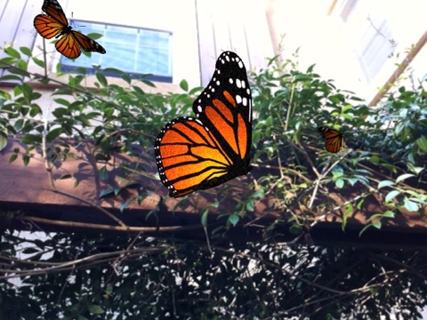 Live Butterfliesのおすすめ画像2