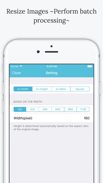 Resize Images ~Perform batch processing~