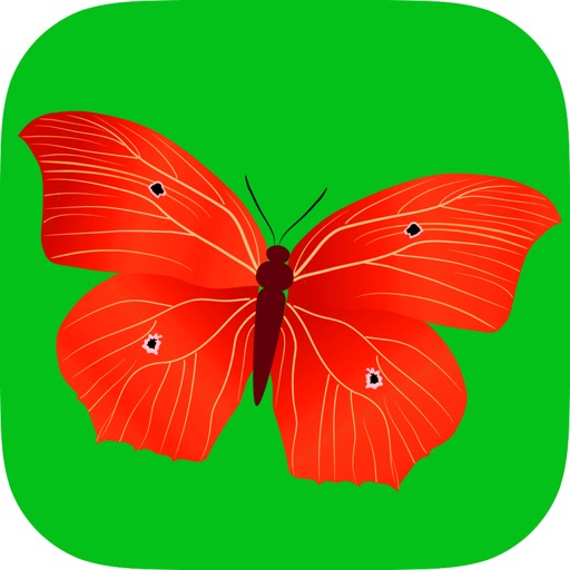 Butterfly Puzzle Game for toddlers HD Lite Free - Children's Educational Jigsaw Puzzles games for little kids boys and girls age 3 +