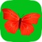 Butterfly puzzles - Educational games for children 3 - 7 years